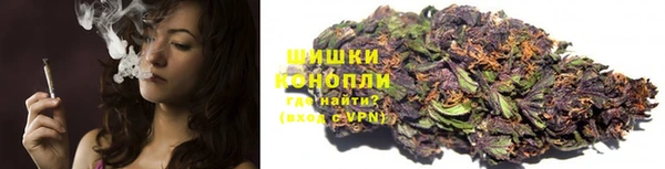 ешки Арсеньев