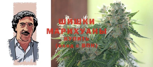 амф Аркадак