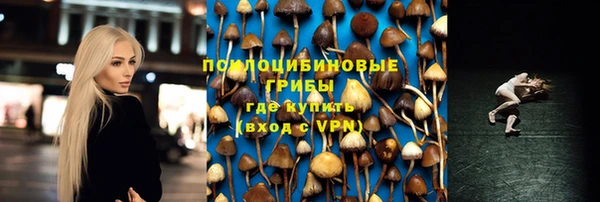 стафф Армянск