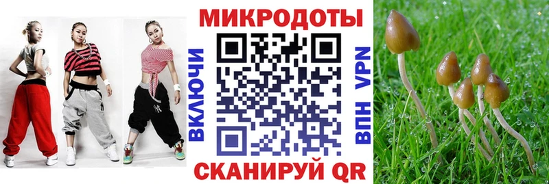 Галлюциногенные грибы мицелий  Малоярославец 